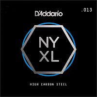 D`ADDARIO NYS013